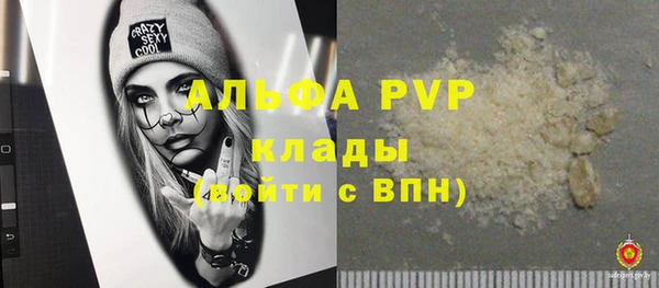 спайс Дмитриев