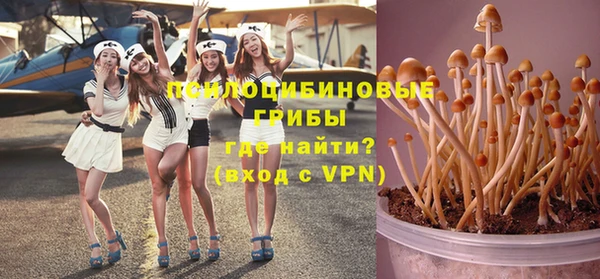 спайс Дмитриев