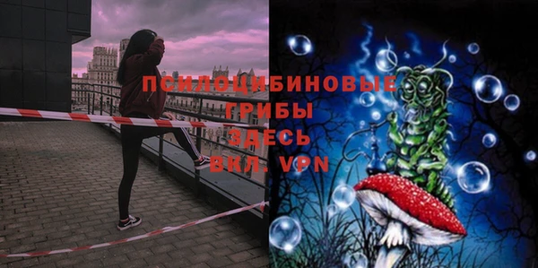 хмурый Дмитровск