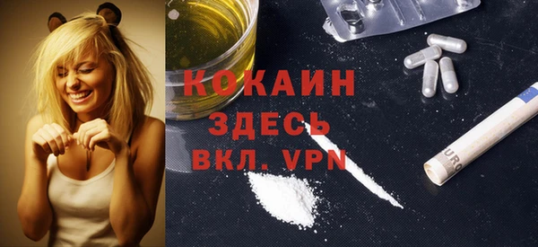 спайс Дмитриев