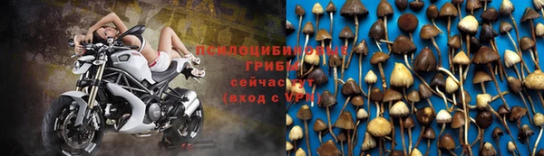 хмурый Дмитровск