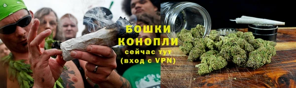 хмурый Дмитровск