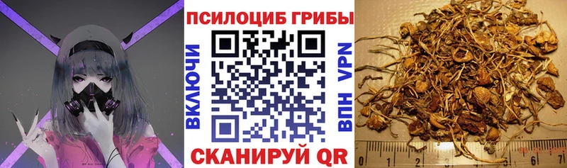 Галлюциногенные грибы мухоморы  Купить где  Кудрово 