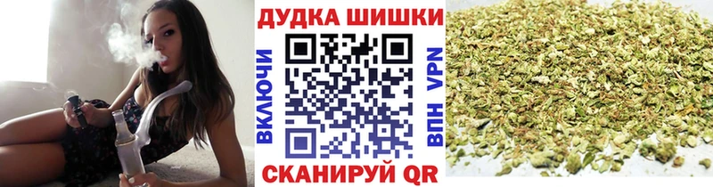 Купить закладки  Кудрово  Бошки Шишки планчик 